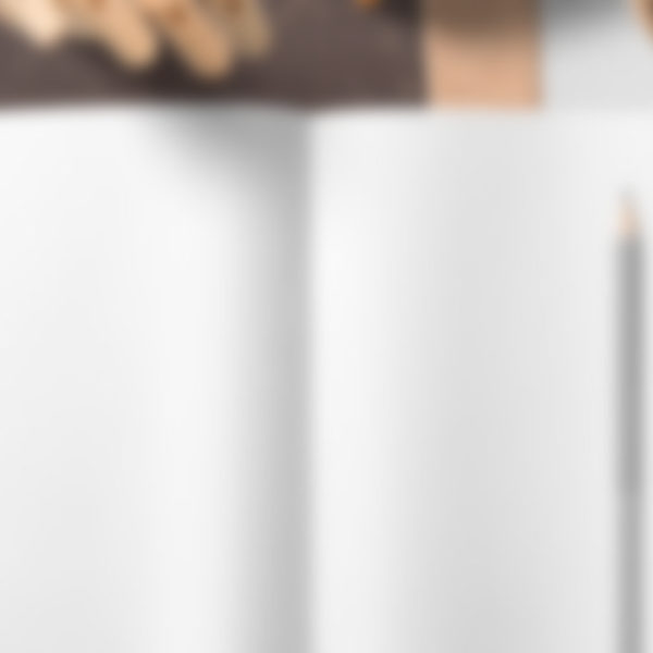 bg 2